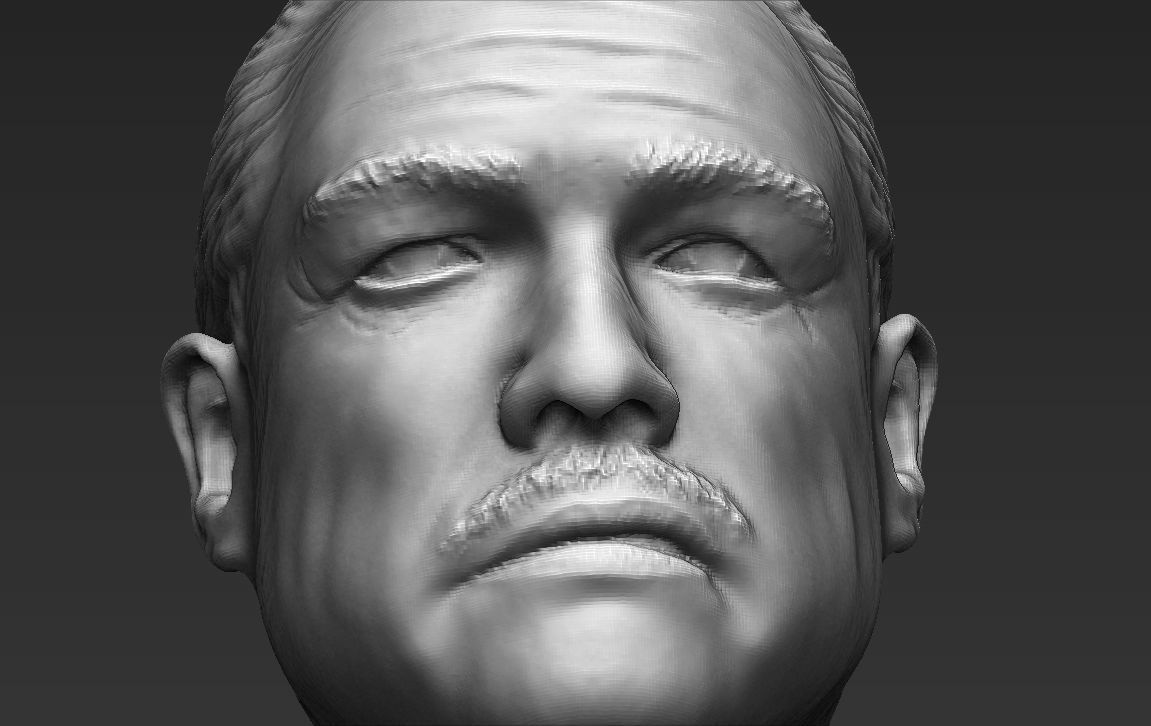 Marlon Brando Godfather bust ready for full color 3D printing 3D print model_40