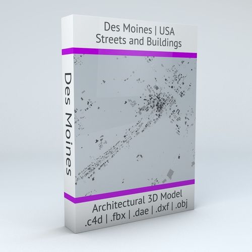 Des Moines Streets and Buildings 3D model
