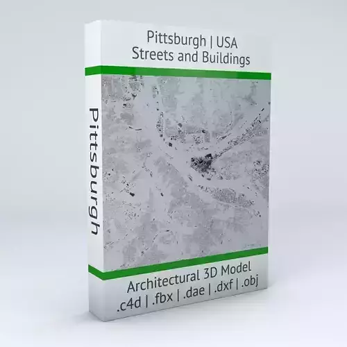 Pittsburgh Streets and Buildings