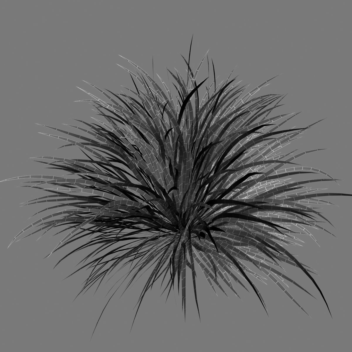 Cherry sparkler fountain grass 3D model_9