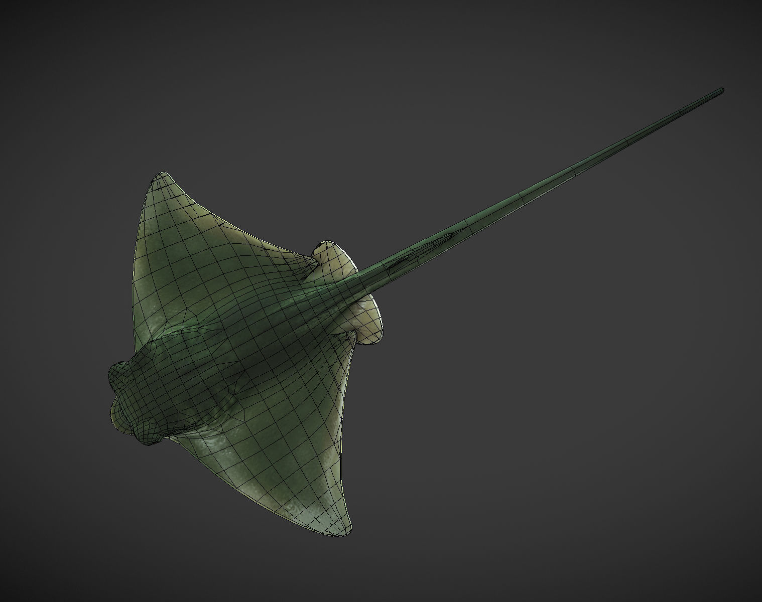 Ray 01 Low-poly 3D model_7