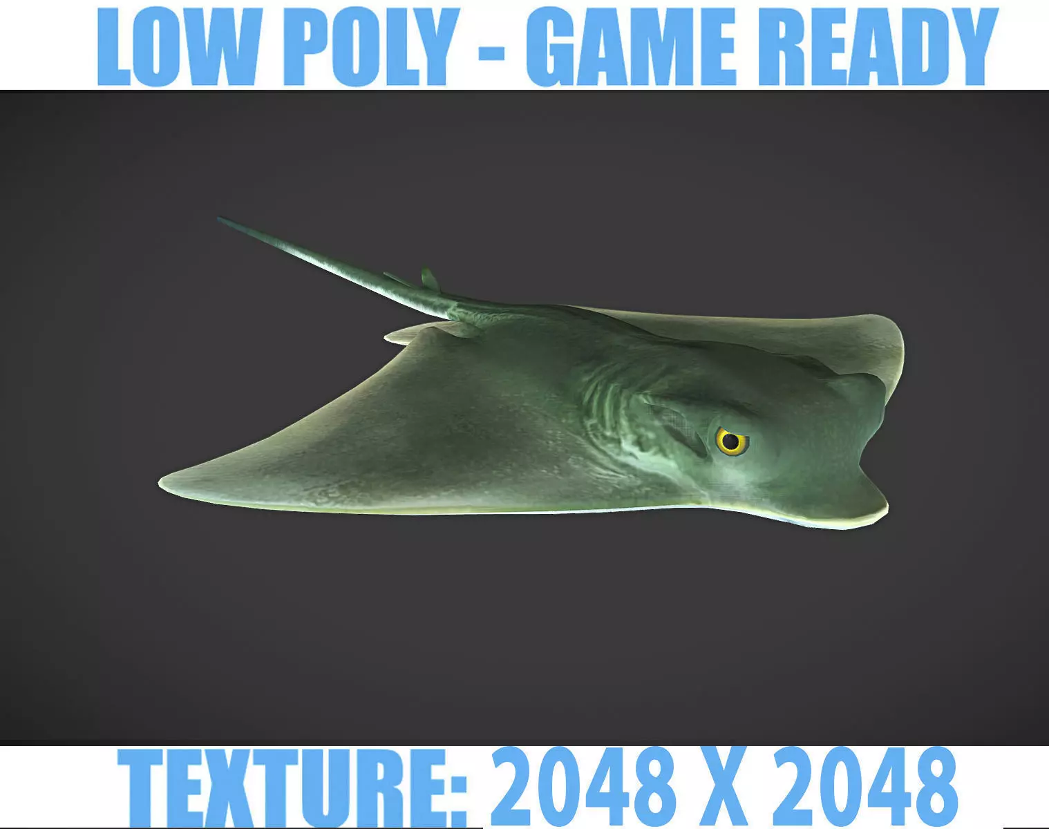 Ray 01 Low-poly 3D model_0