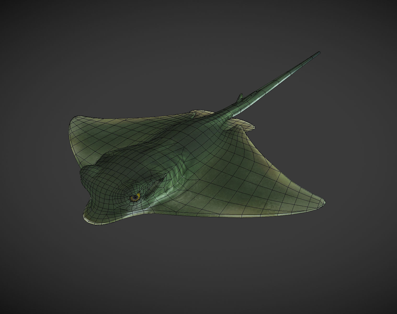 Ray 01 Low-poly 3D model_5