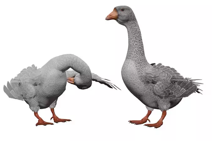 Goose  Low-poly 3D model
