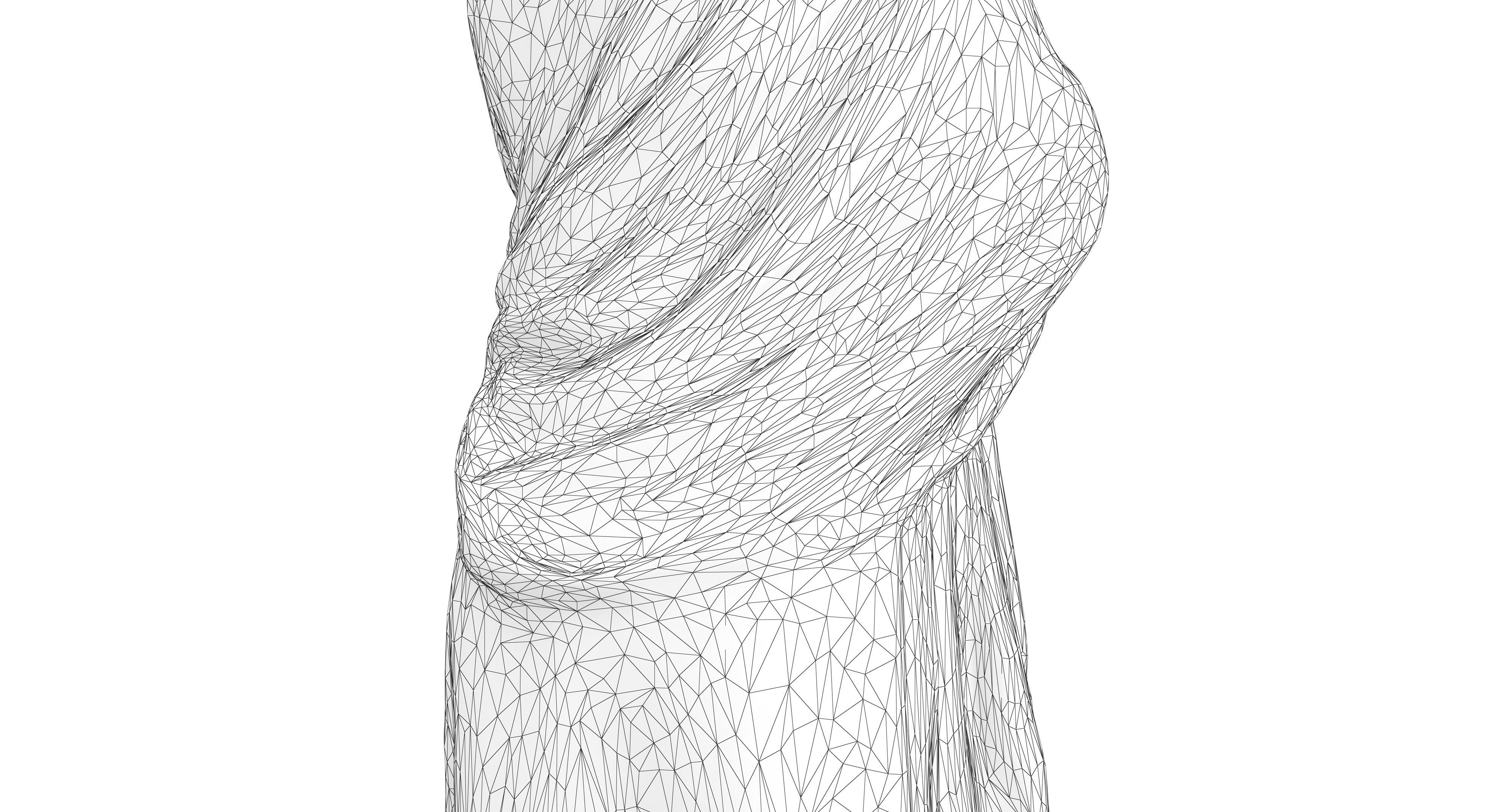 Indian Fiancee Low-poly 3D model_31