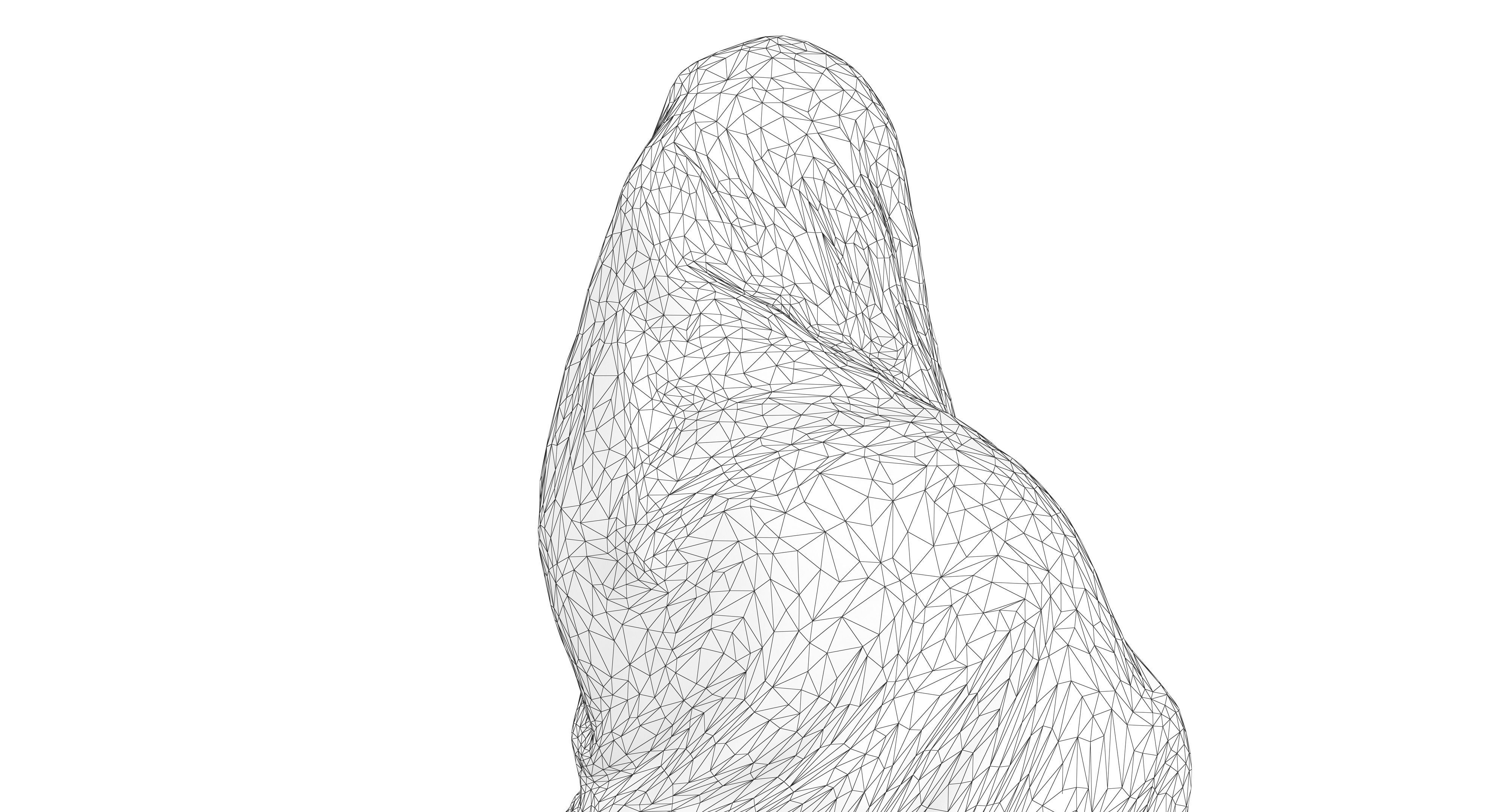 Indian Fiancee Low-poly 3D model_29