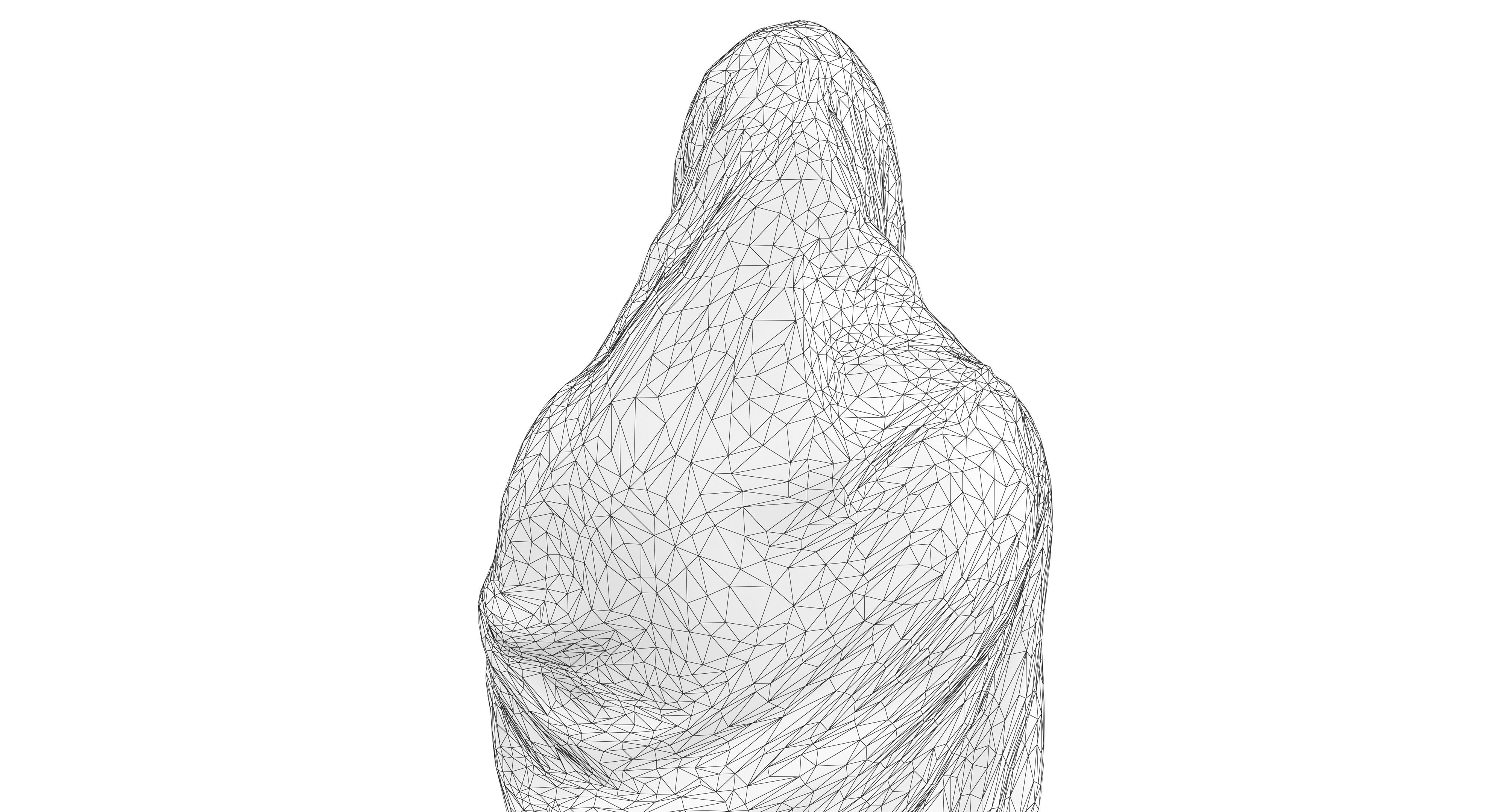 Indian Fiancee Low-poly 3D model_35