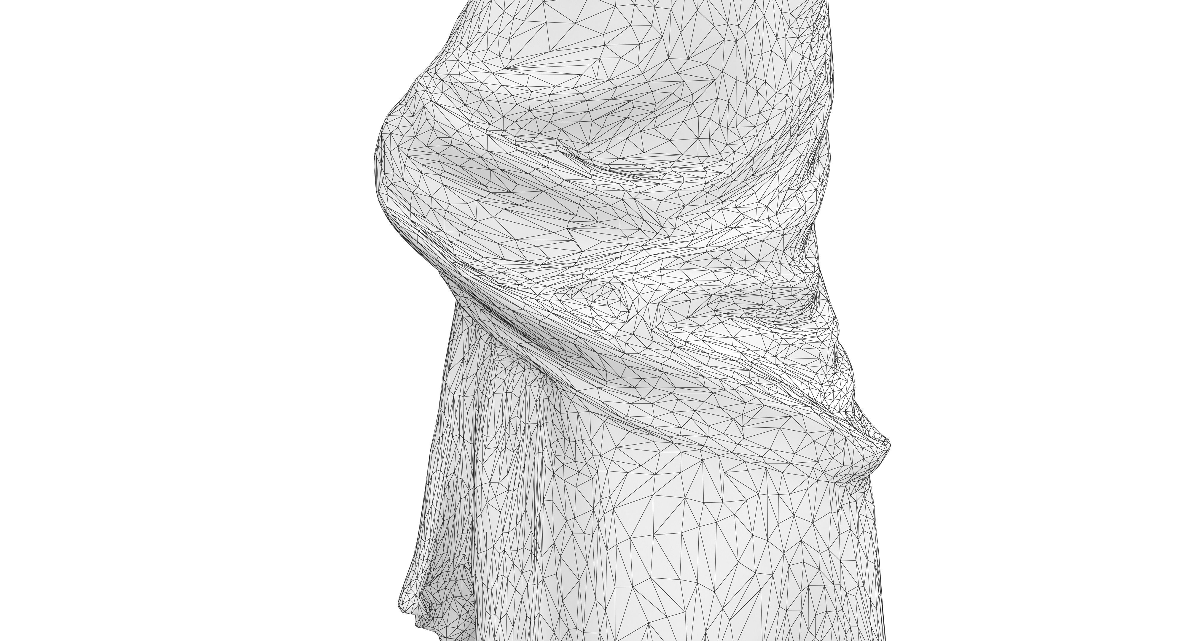 Indian Fiancee Low-poly 3D model_43