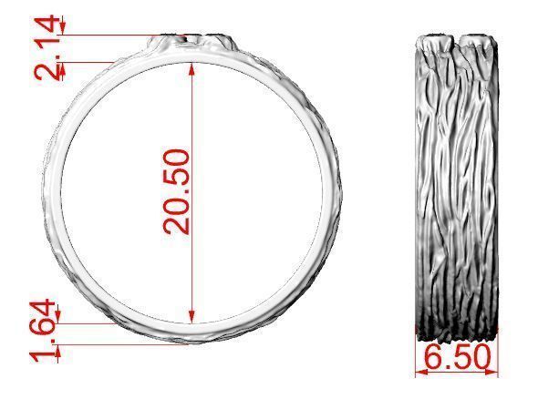 Woodring emerald ring in sterling silver 3D print model_10