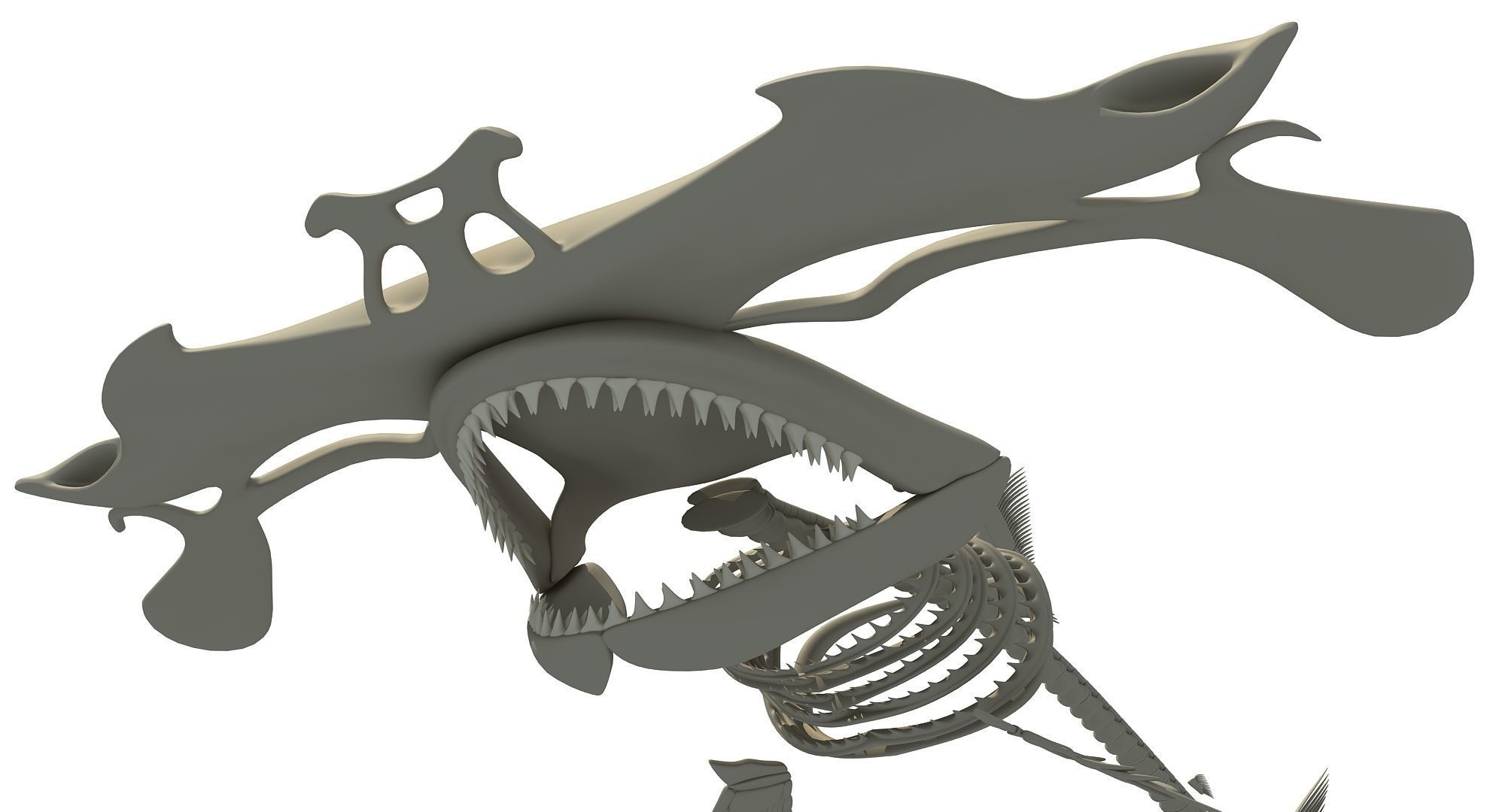 Sharks Skeletons 3D Models 3D model_19