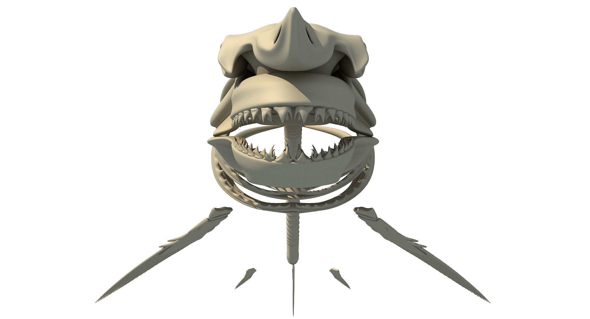 3D Sharks Skeletons 3D model_32