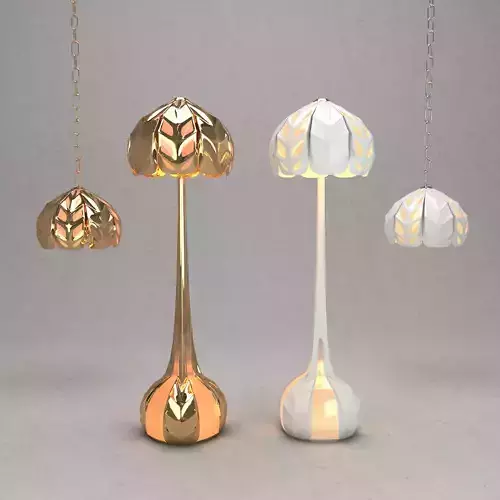 Floor lamp and Ceiling light