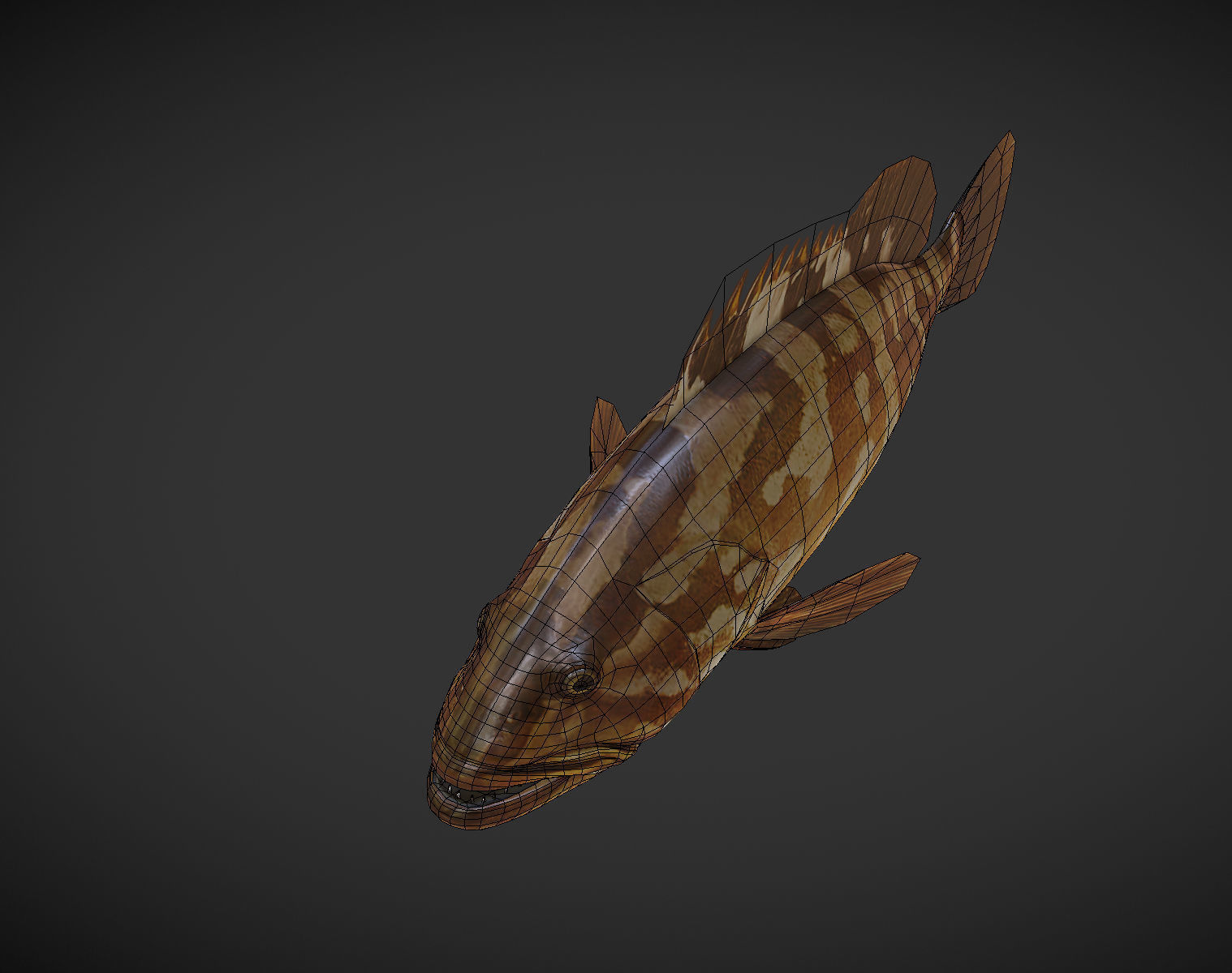 Grouper01 fish Low-poly 3D model_5