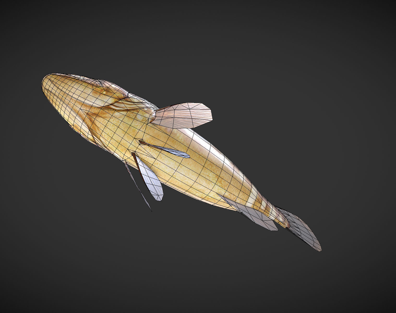 Grouper01 fish Low-poly 3D model_8