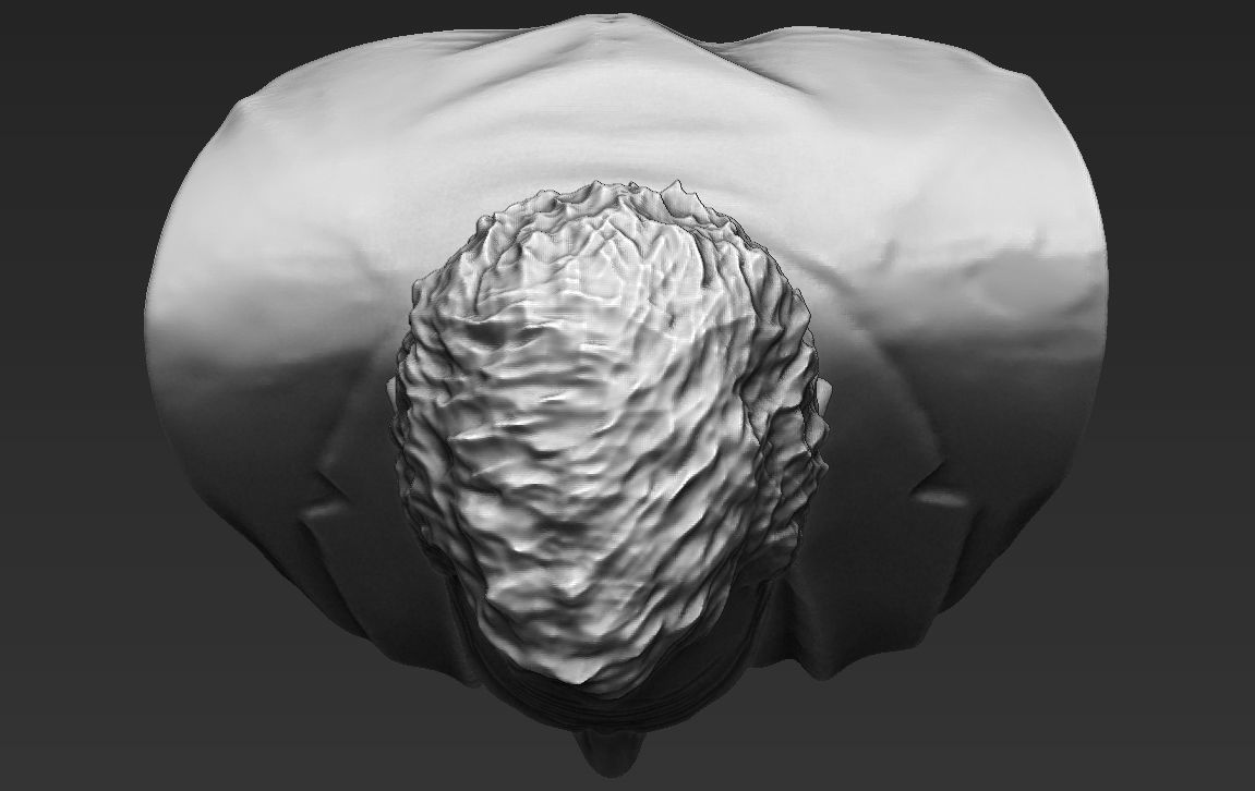 MD Gregory House bust 3D printing ready stl obj formats 3D print model_18