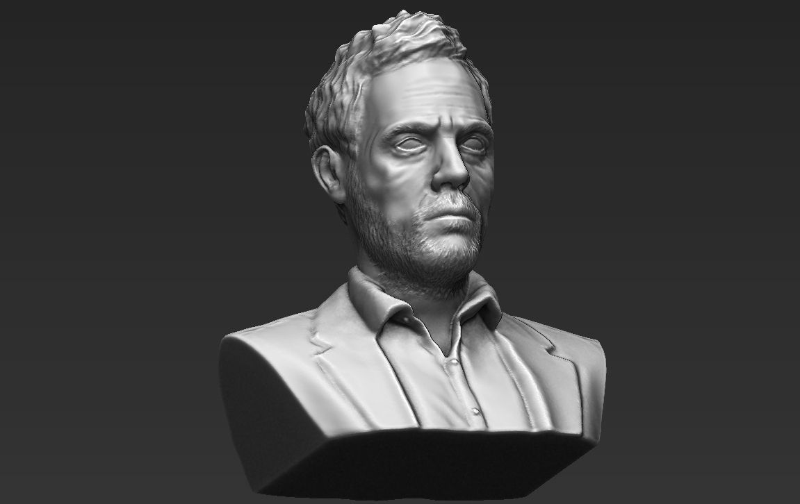MD Gregory House bust 3D printing ready stl obj formats 3D print model_20