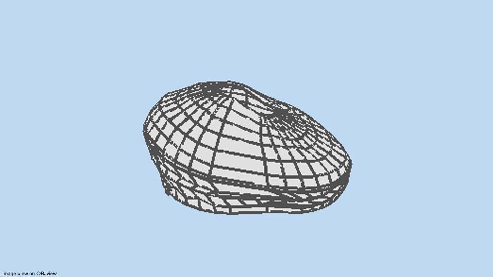 Hat - Flat cap 3D model_4