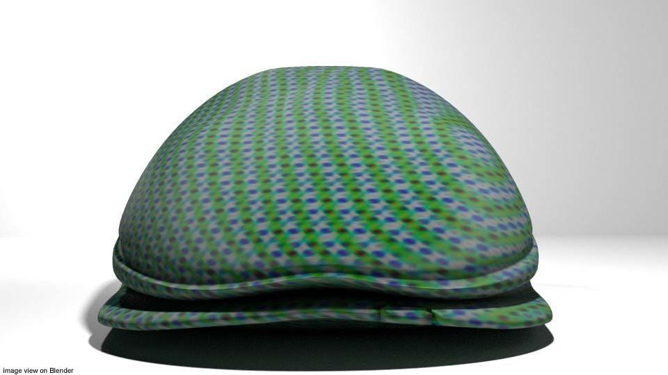 Hat - Flat cap 3D model_2