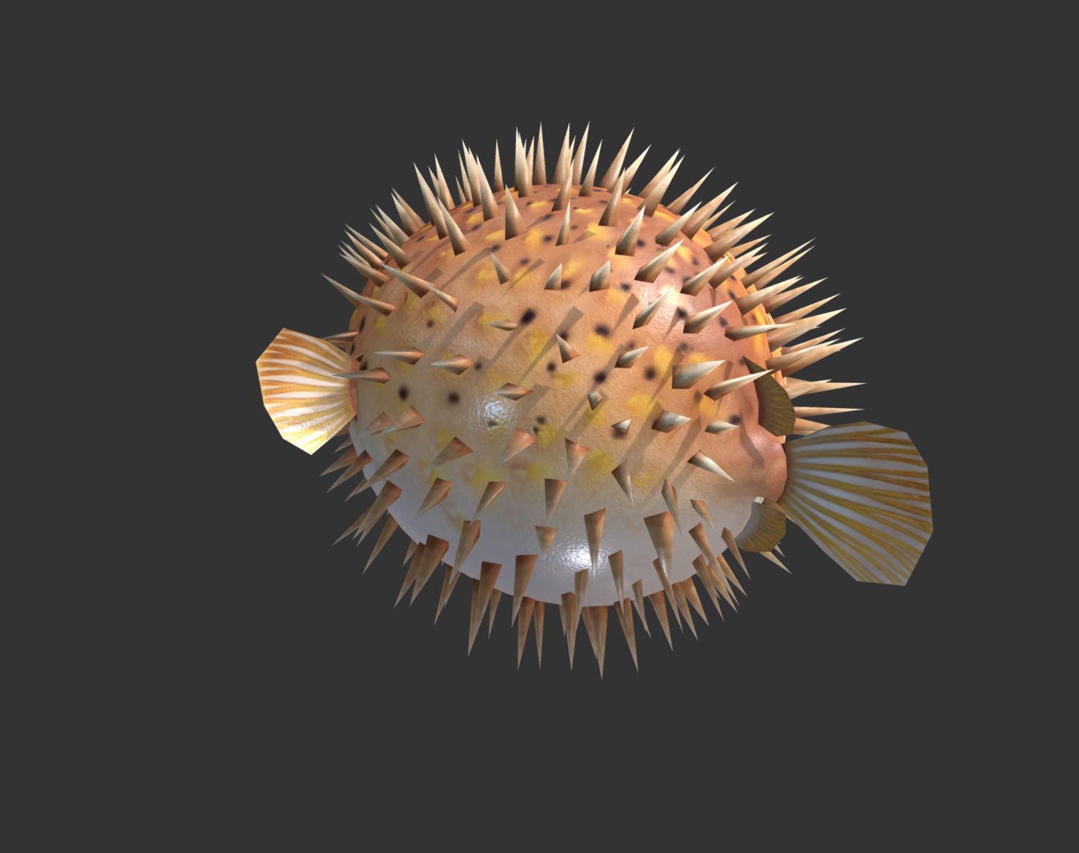  Puffer fish01 Low-poly 3D model_3