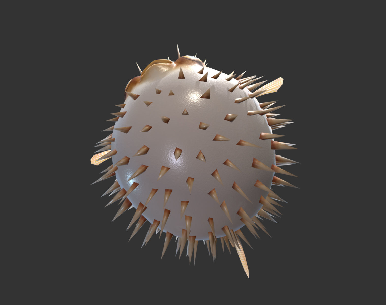  Puffer fish01 Low-poly 3D model_6