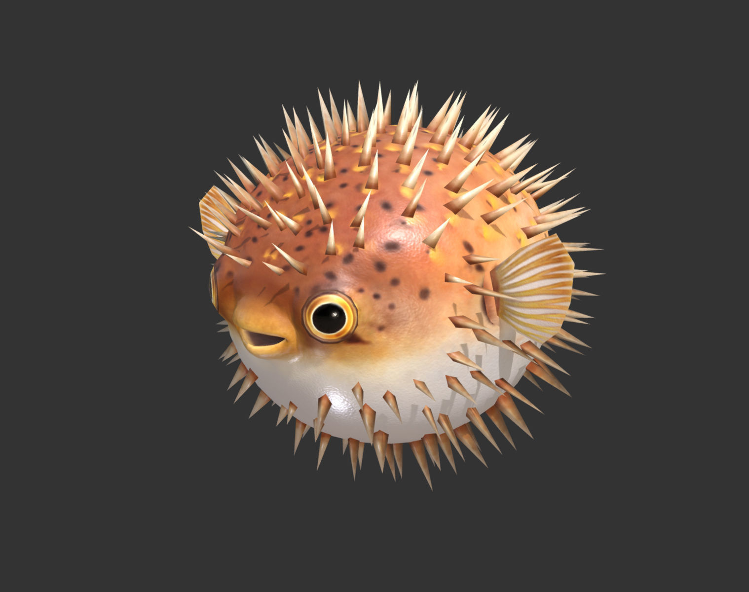  Puffer fish01 Low-poly 3D model_1
