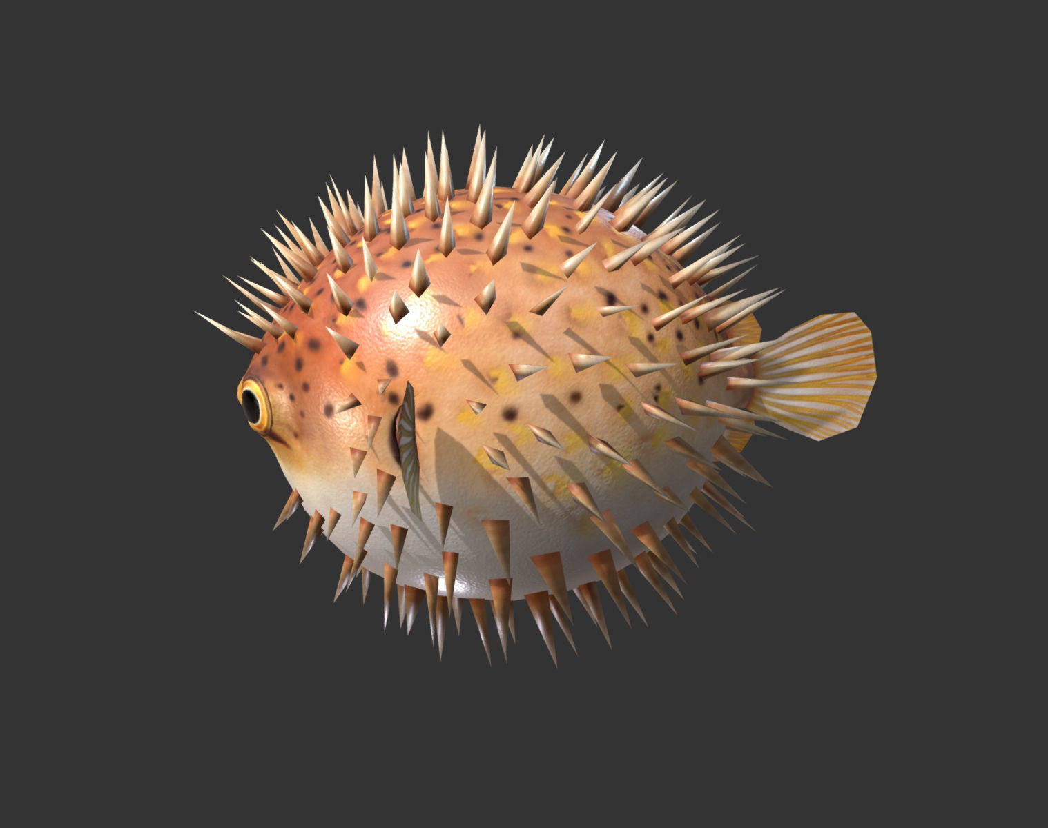  Puffer fish01 Low-poly 3D model_2