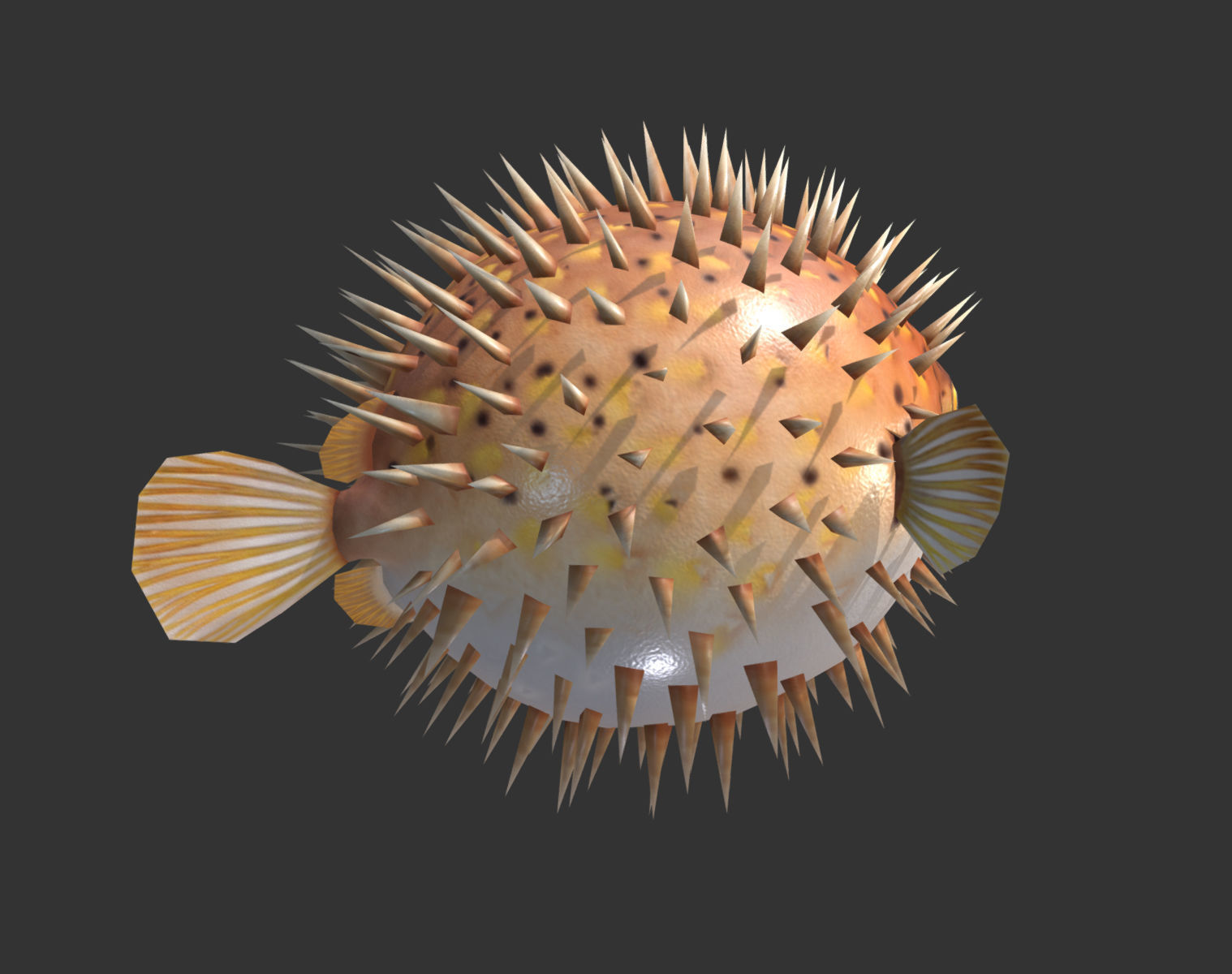  Puffer fish01 Low-poly 3D model_5