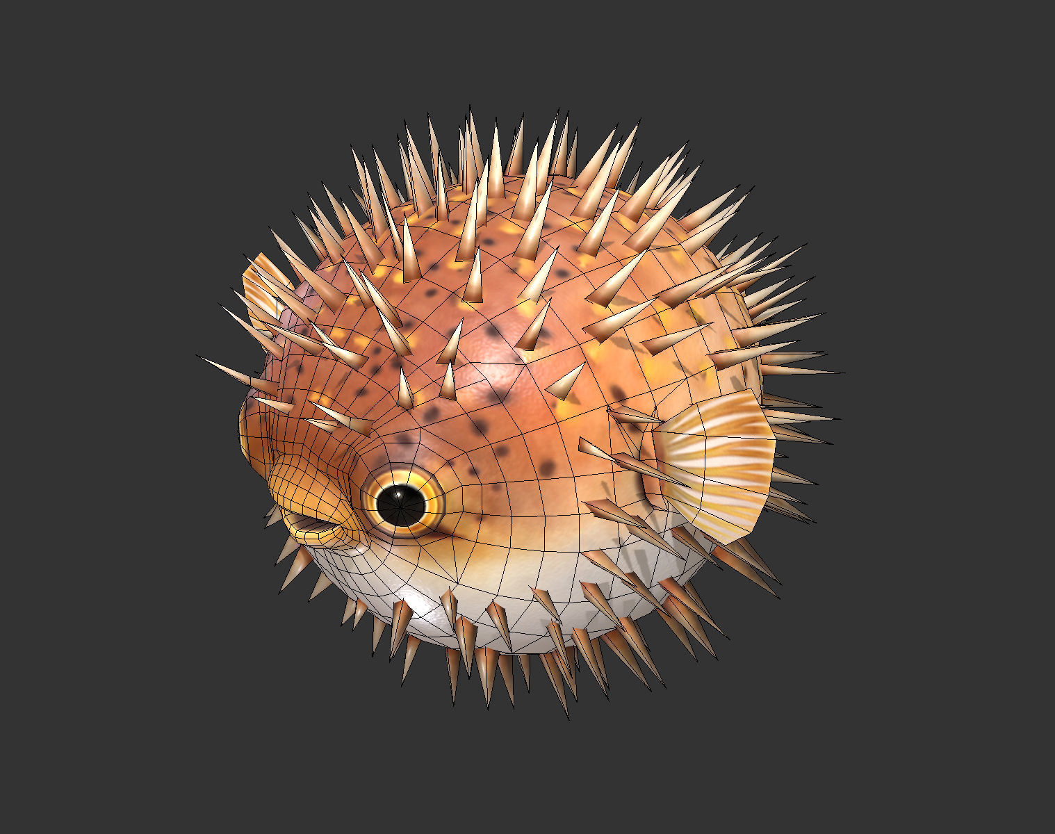  Puffer fish01 Low-poly 3D model_7
