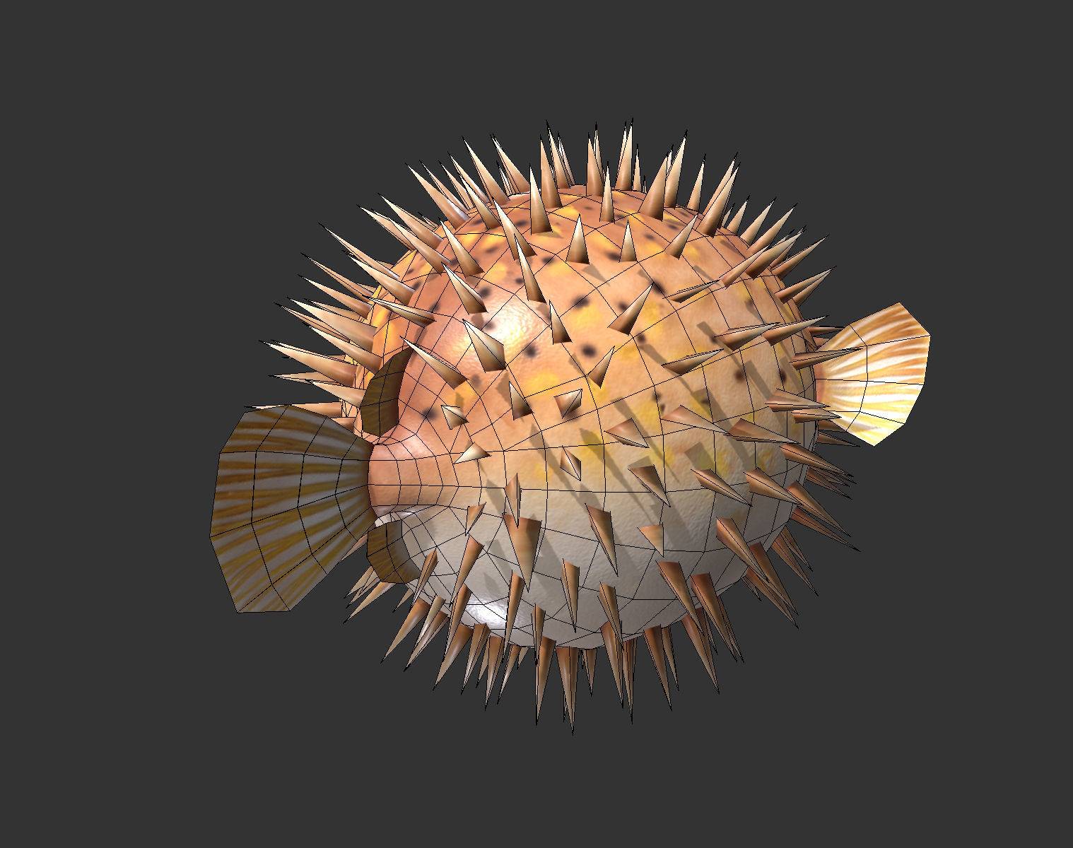  Puffer fish01 Low-poly 3D model_11