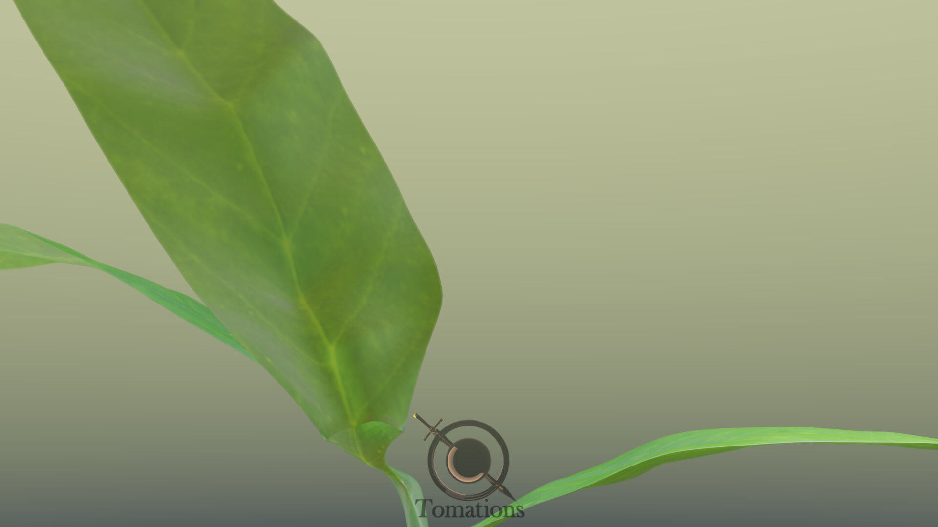 Sprout plant in pot 3D model_29