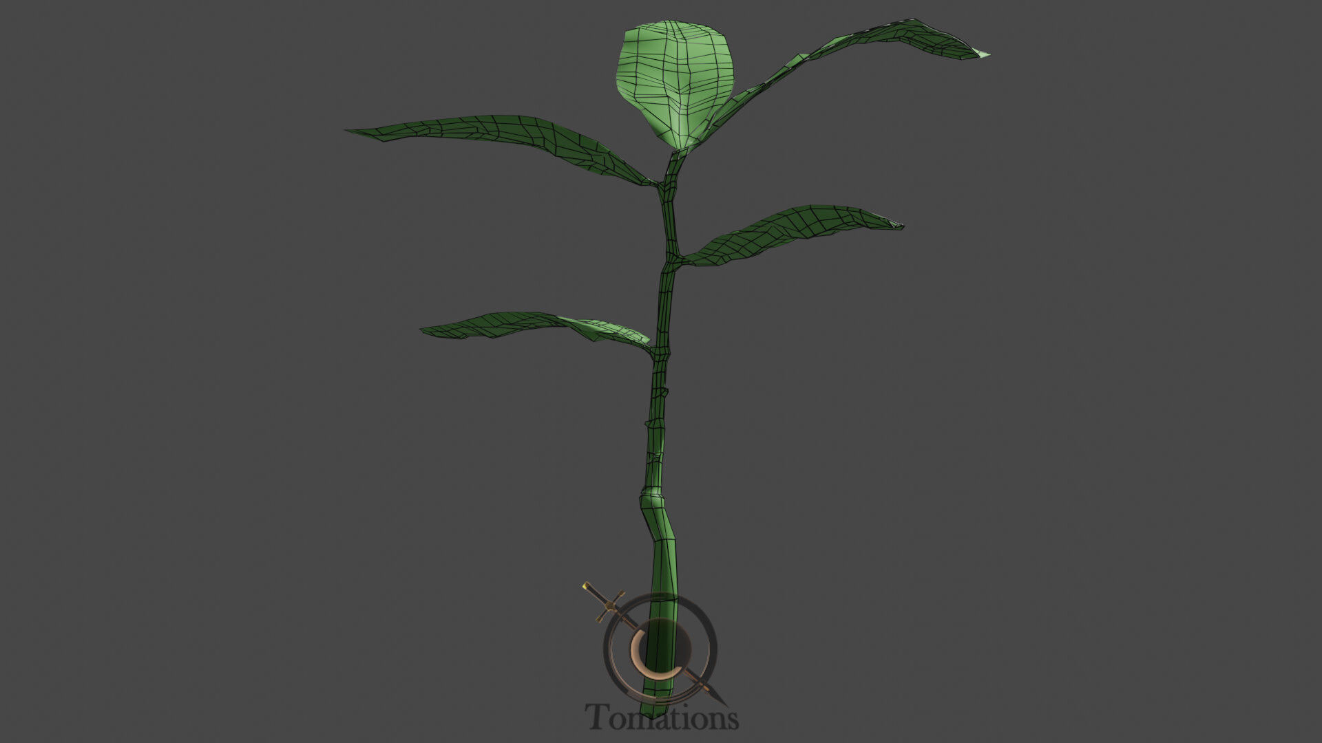 Sprout plant in pot 3D model_54