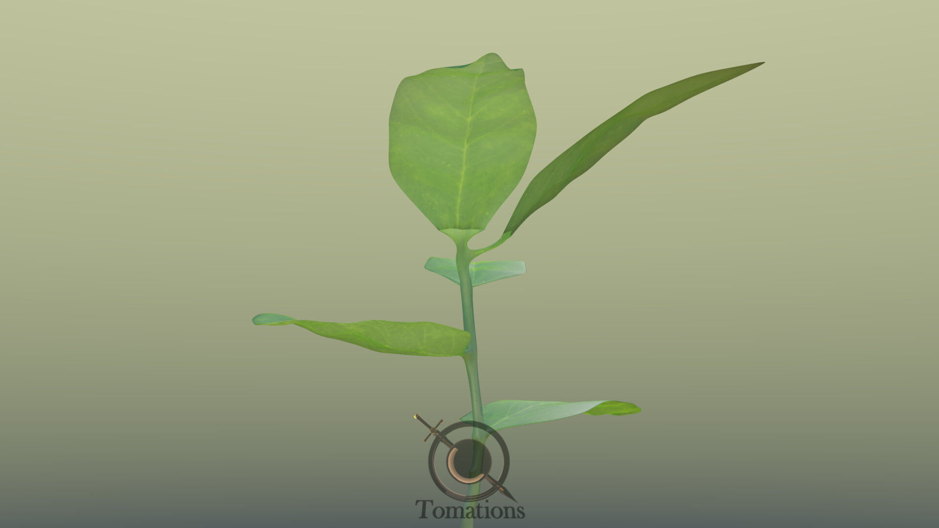 Sprout plant in pot 3D model_26