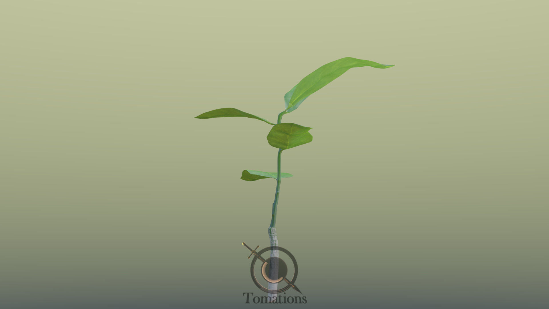 Sprout plant in pot 3D model_37
