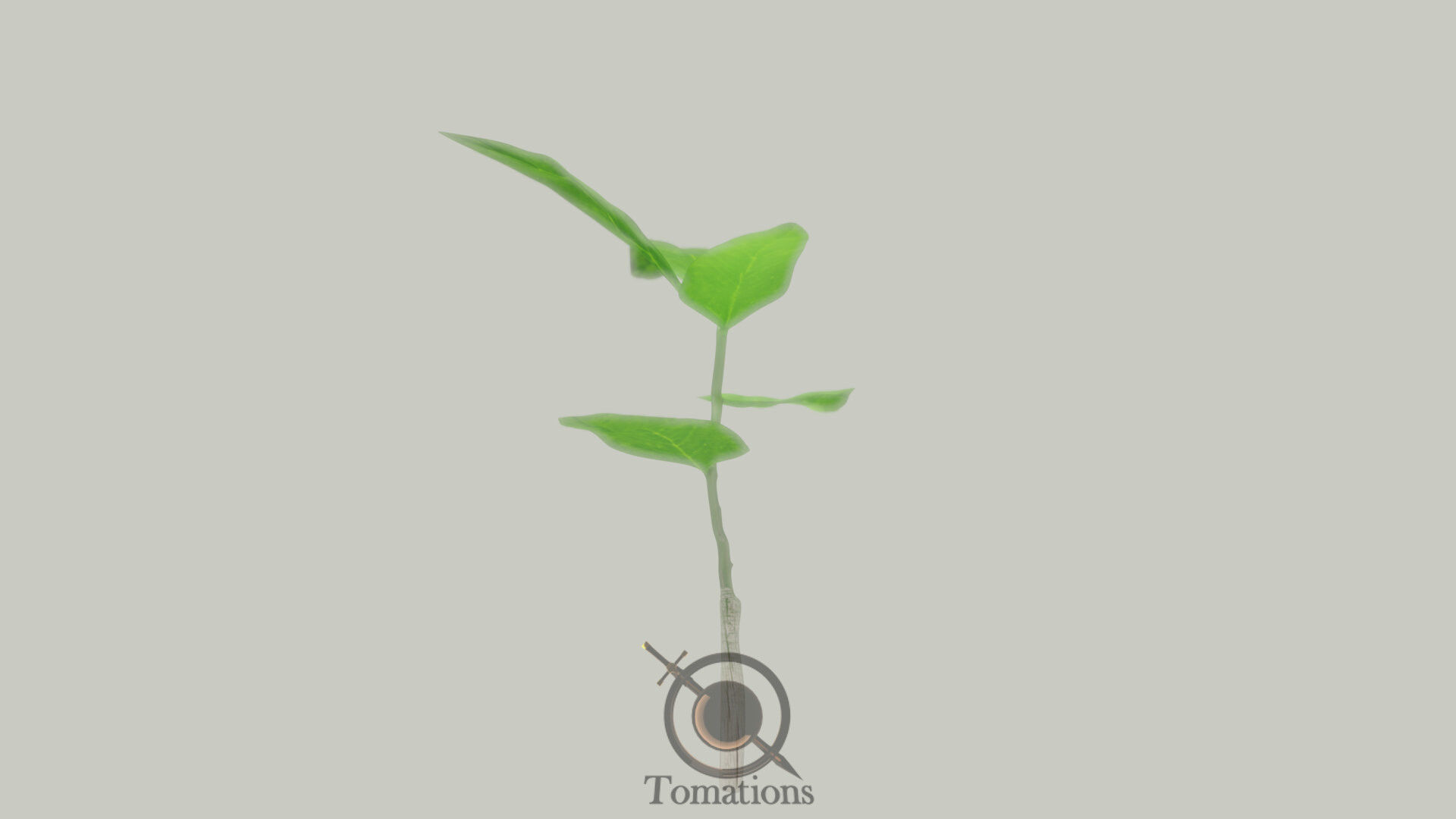 Sprout plant in pot 3D model_20