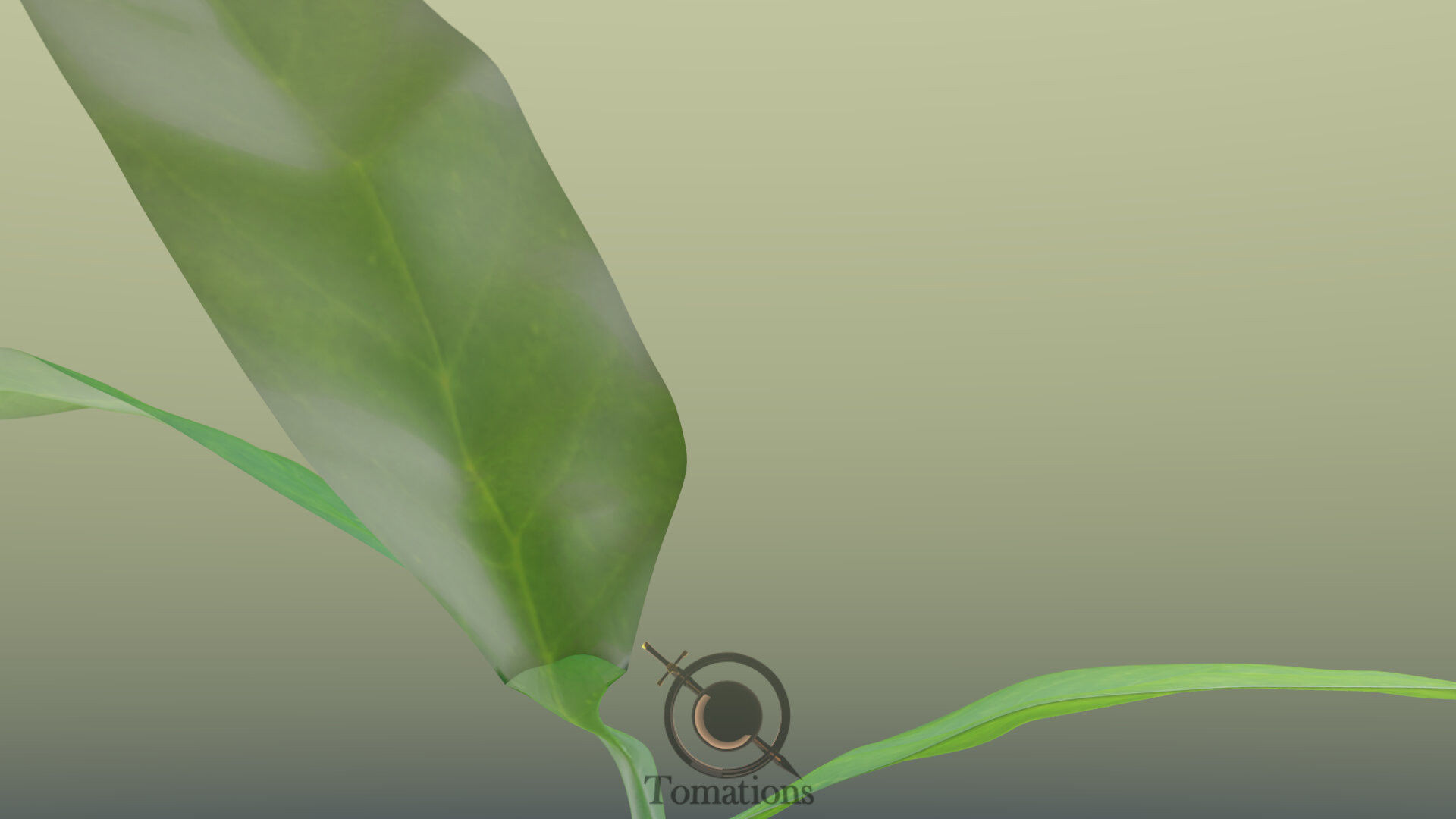 Sprout plant in pot 3D model_31