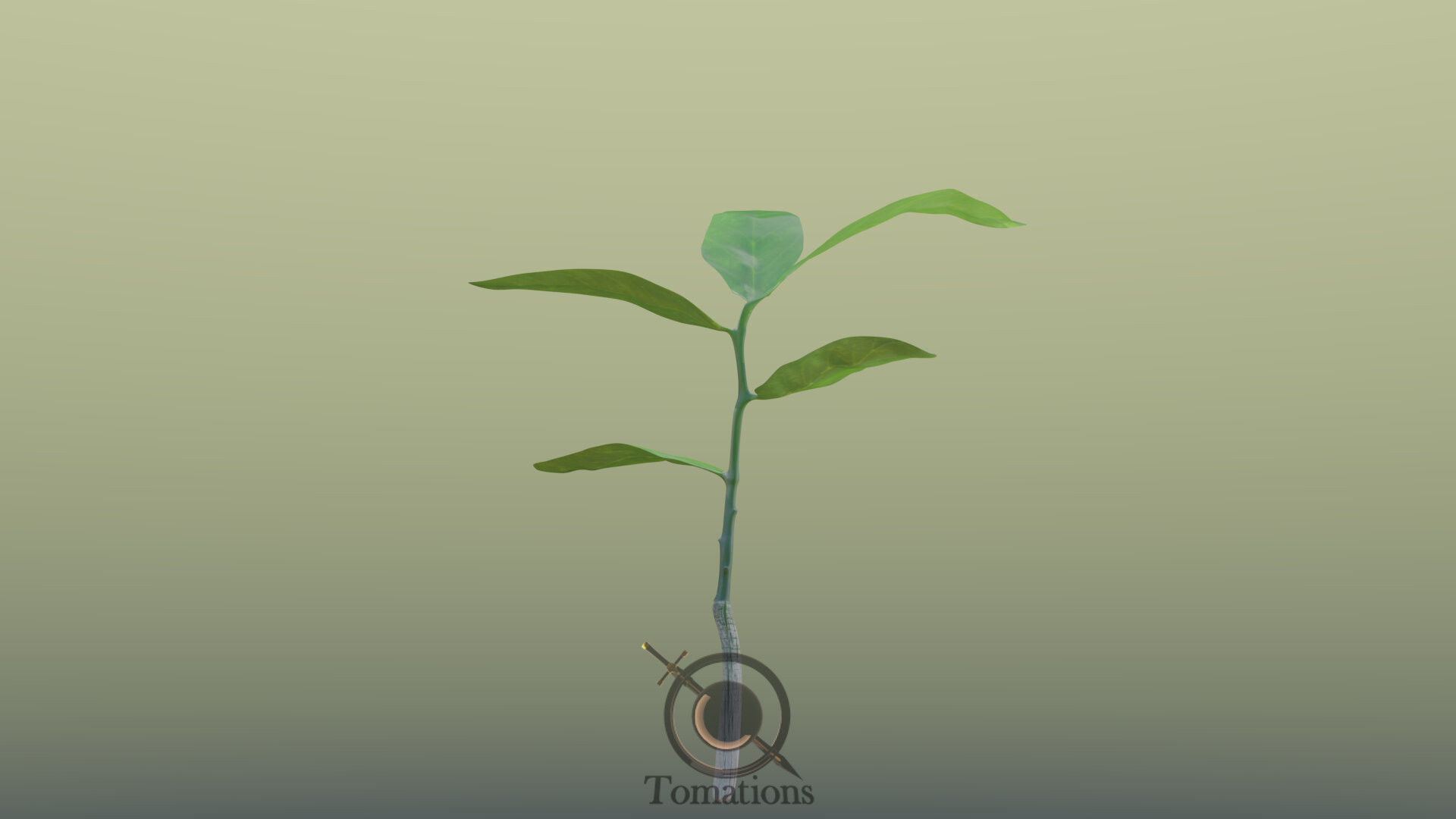 Sprout plant in pot 3D model_45