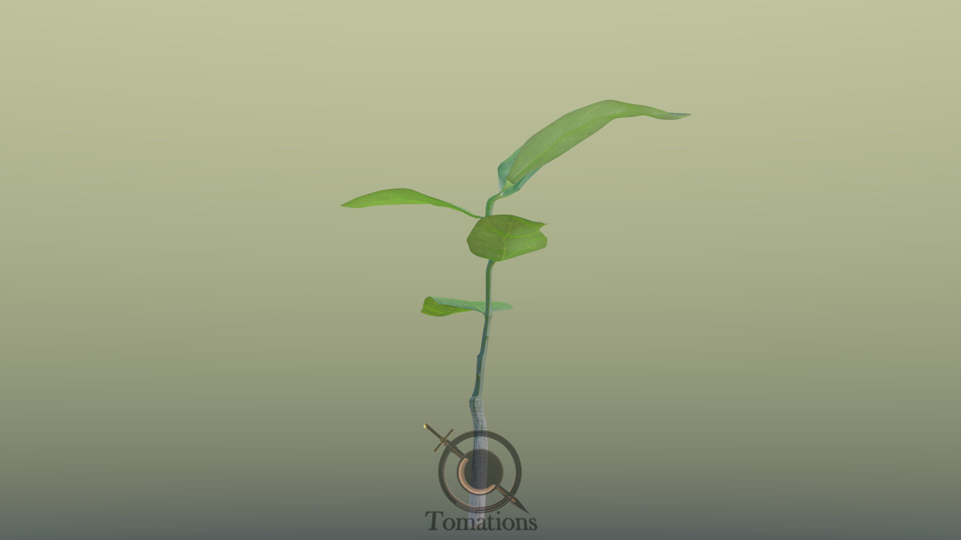 Sprout plant in pot 3D model_24
