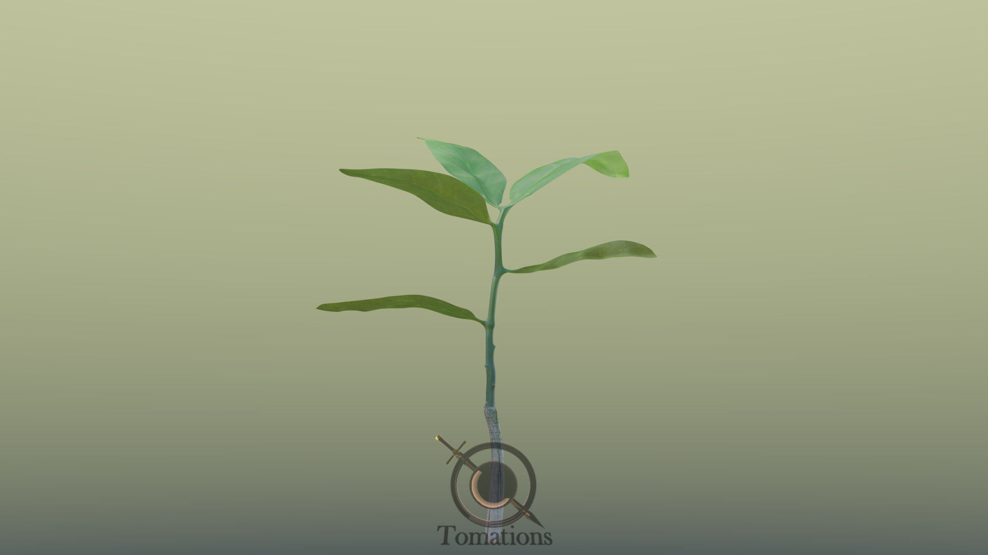 Sprout plant in pot 3D model_44