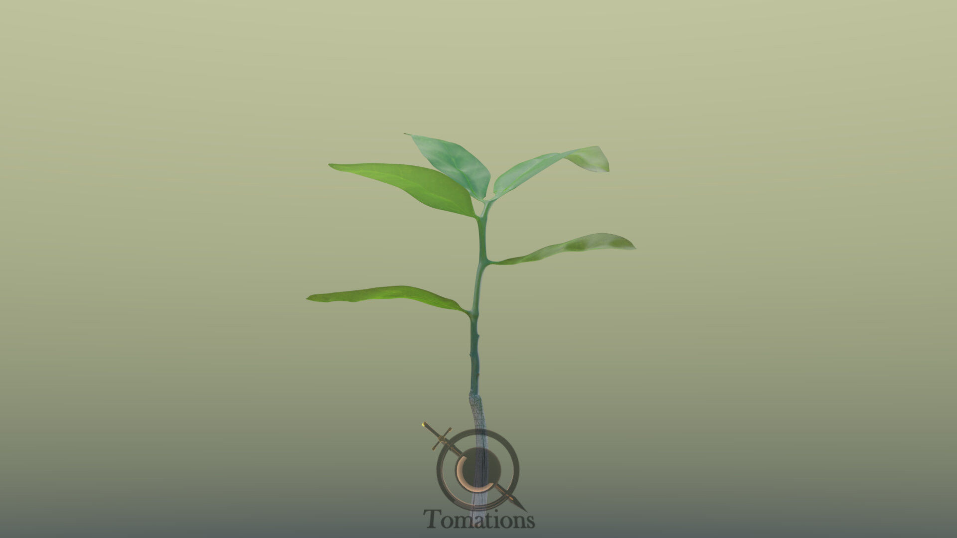 Sprout plant in pot 3D model_35