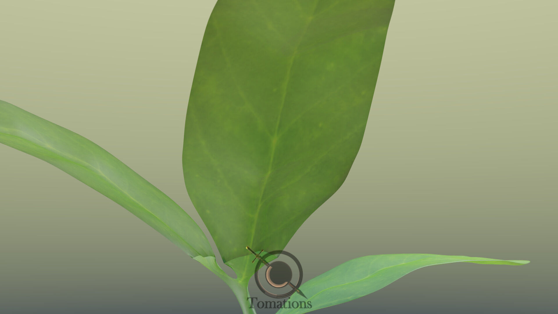 Sprout plant in pot 3D model_28