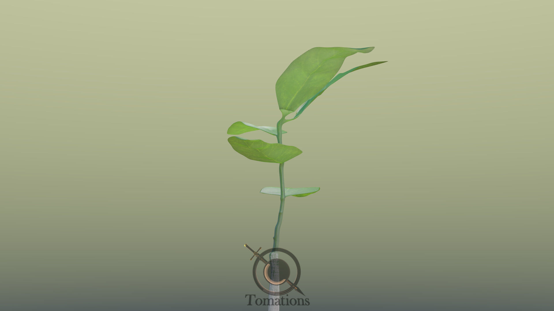 Sprout plant in pot 3D model_25
