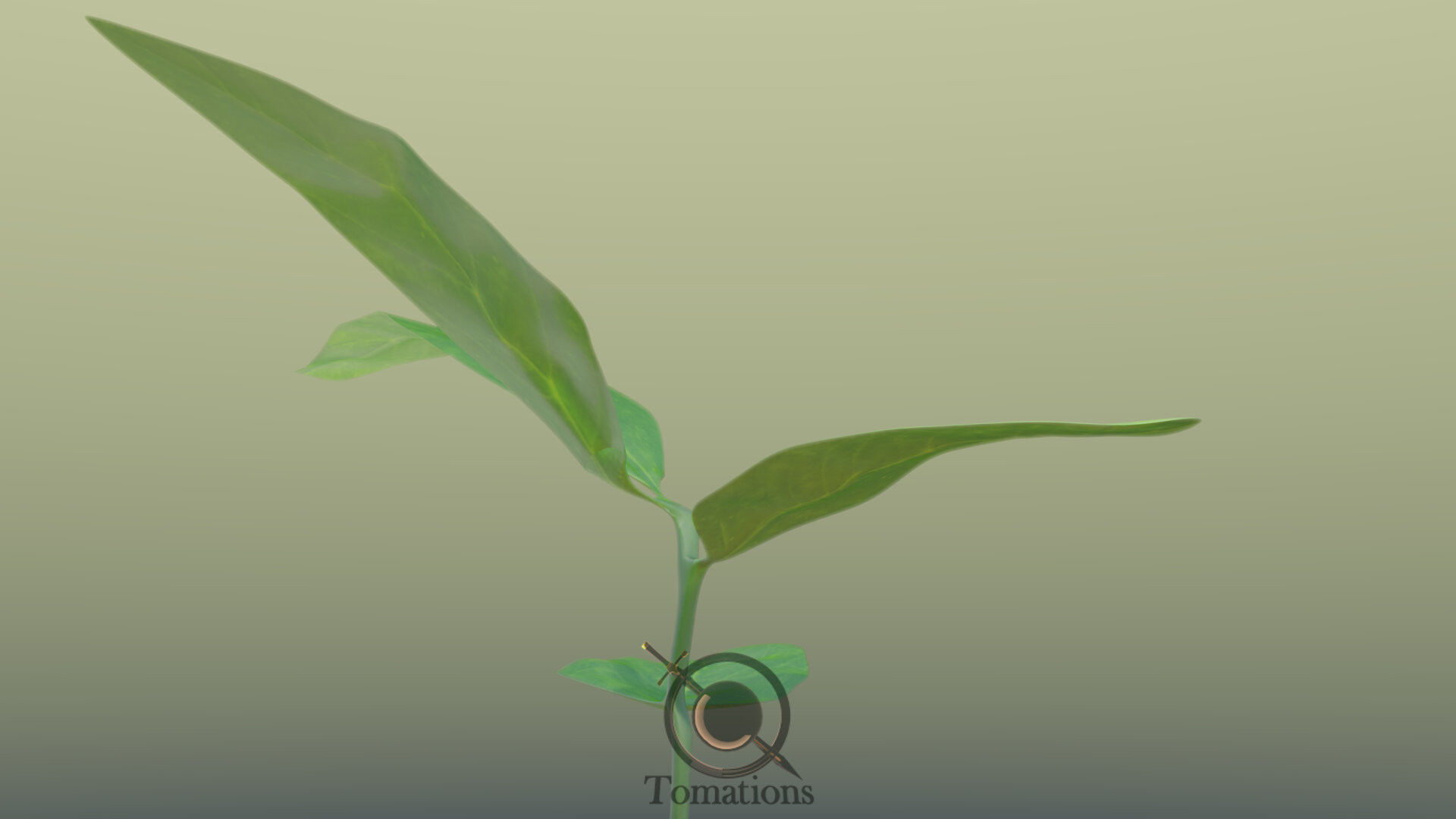 Sprout plant in pot 3D model_42
