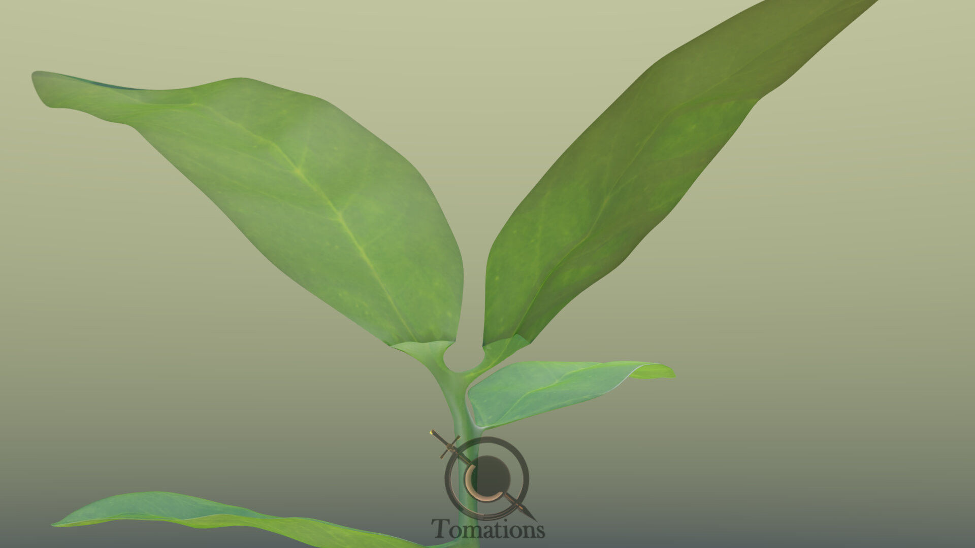 Sprout plant in pot 3D model_27