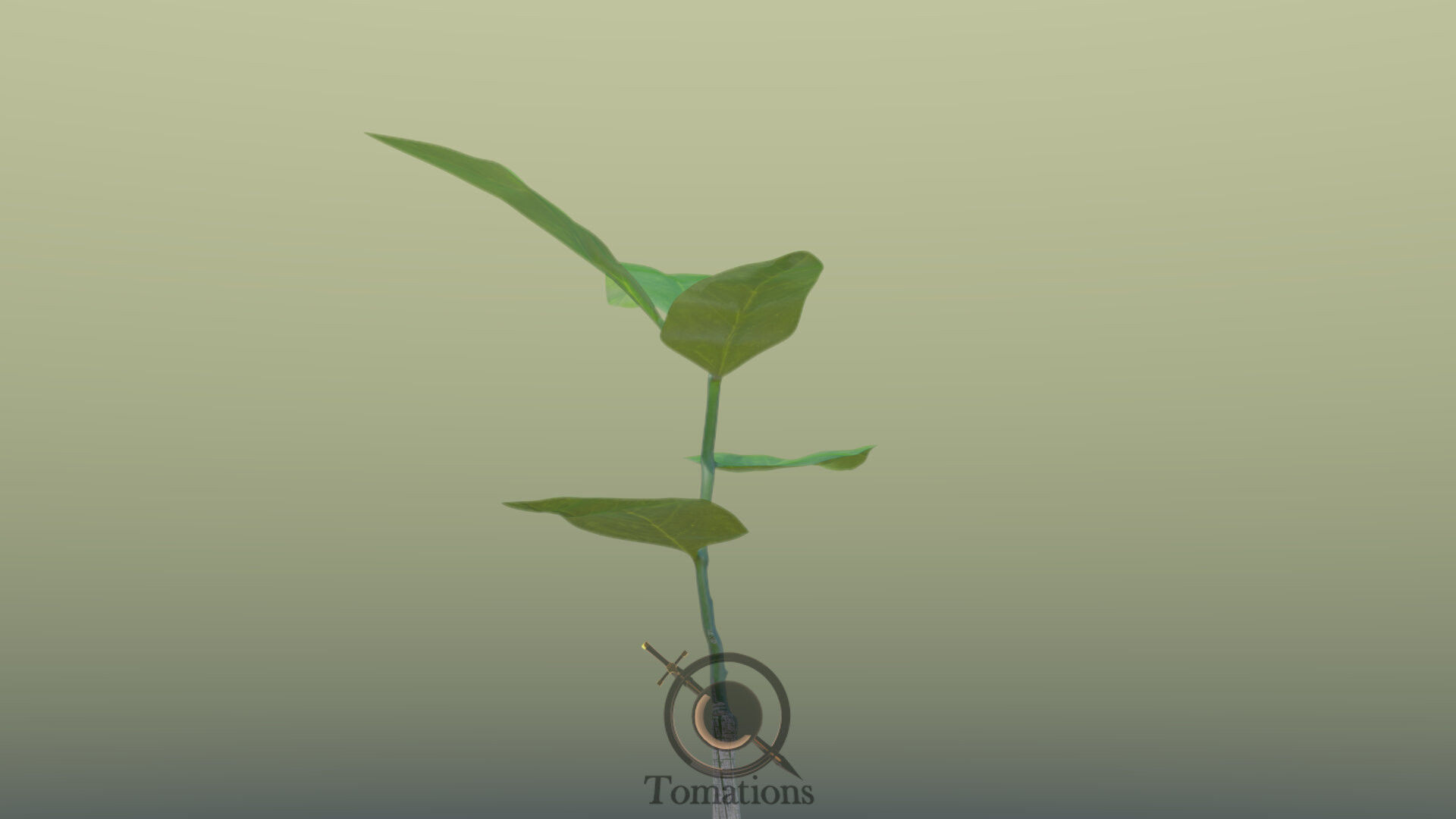 Sprout plant in pot 3D model_30