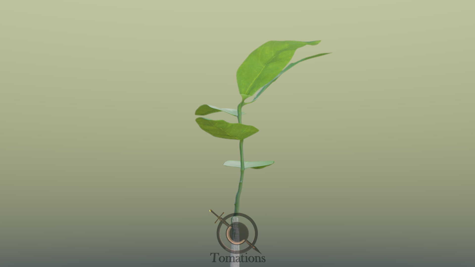 Sprout plant in pot 3D model_38
