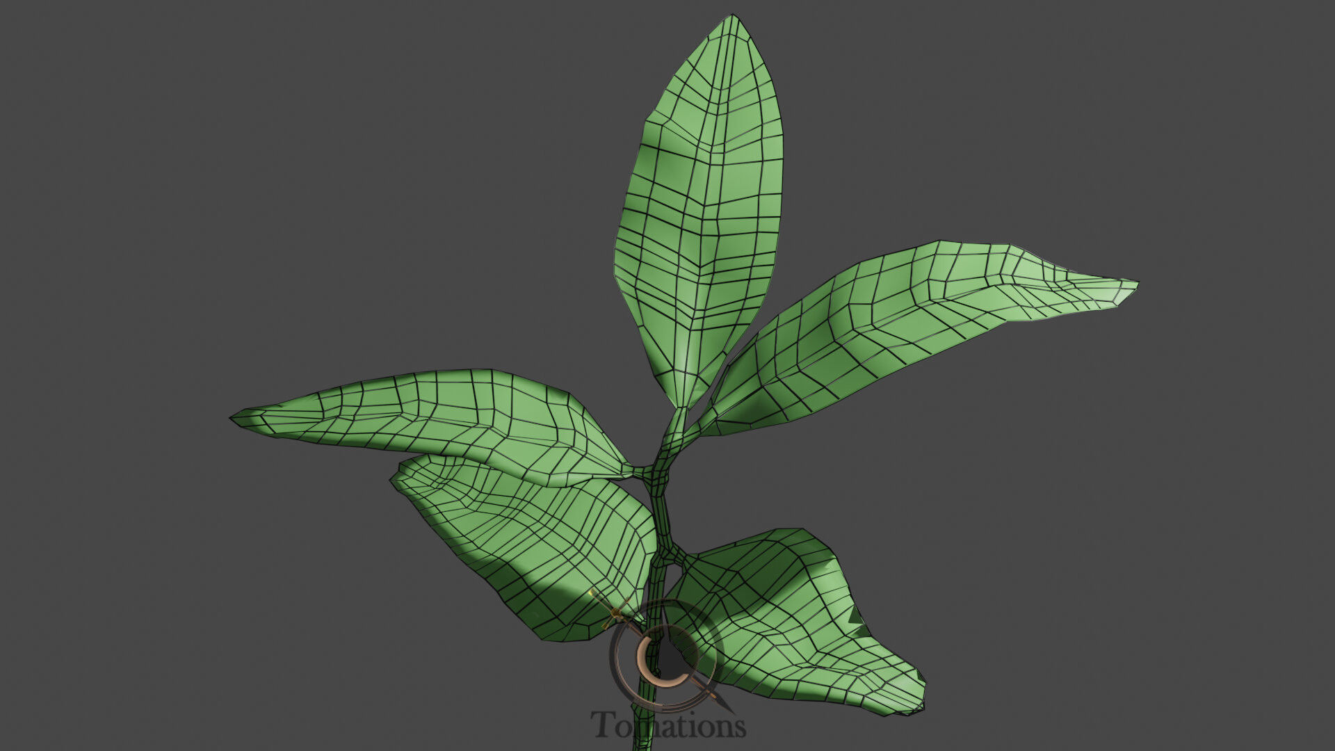 Sprout plant in pot 3D model_50