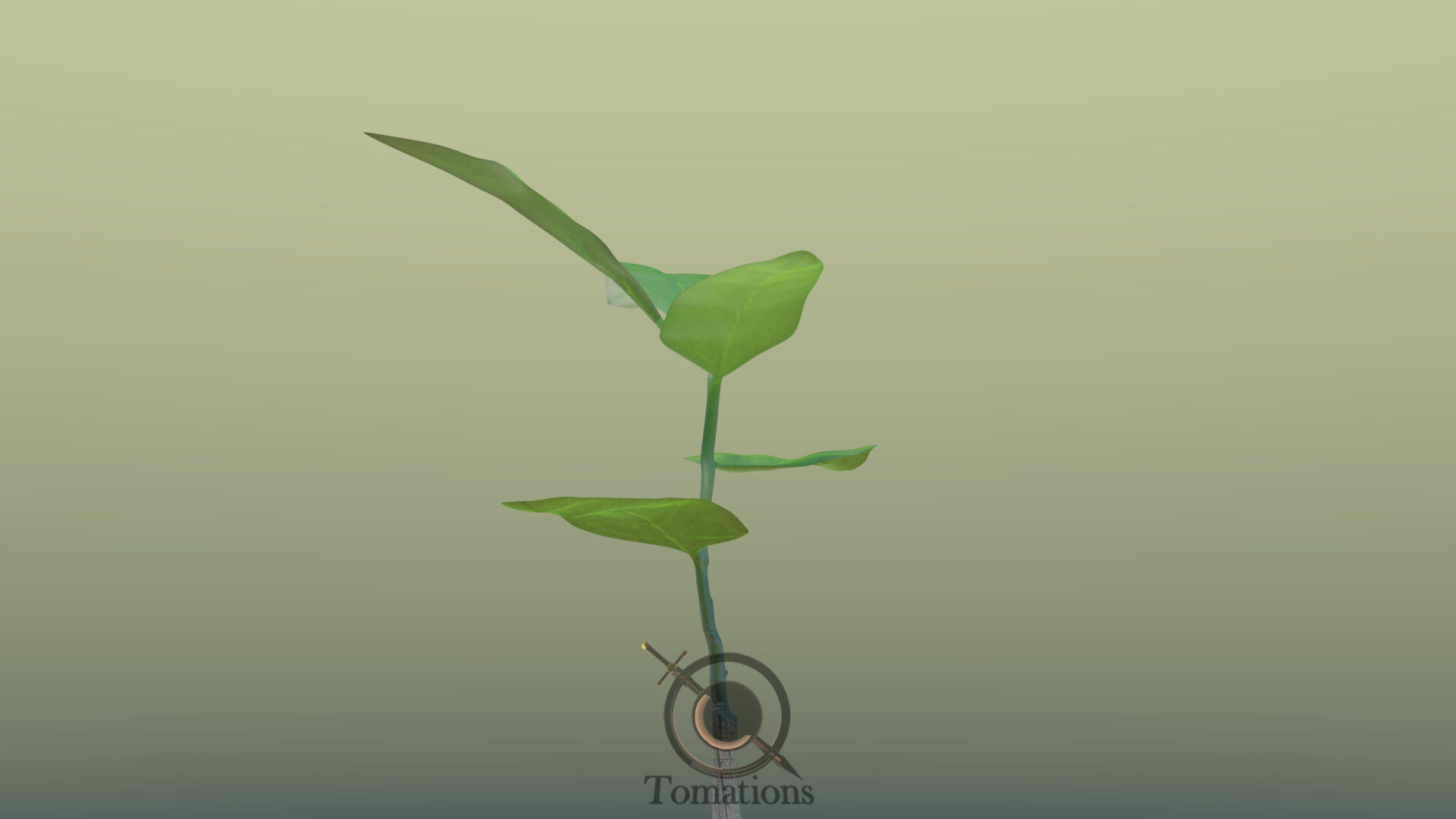 Sprout plant in pot 3D model_33