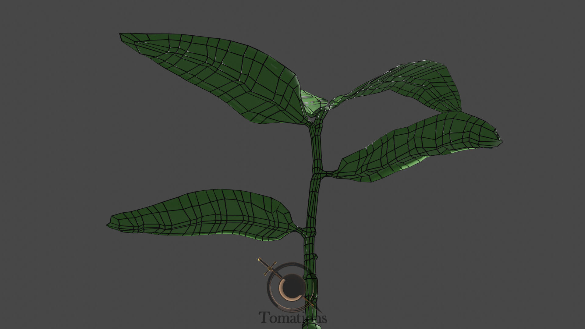 Sprout plant in pot 3D model_51