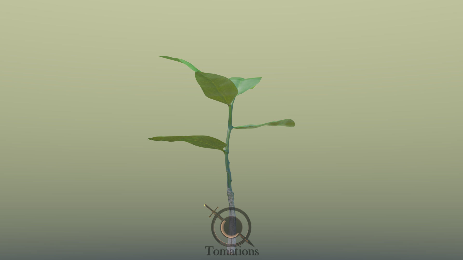 Sprout plant in pot 3D model_43