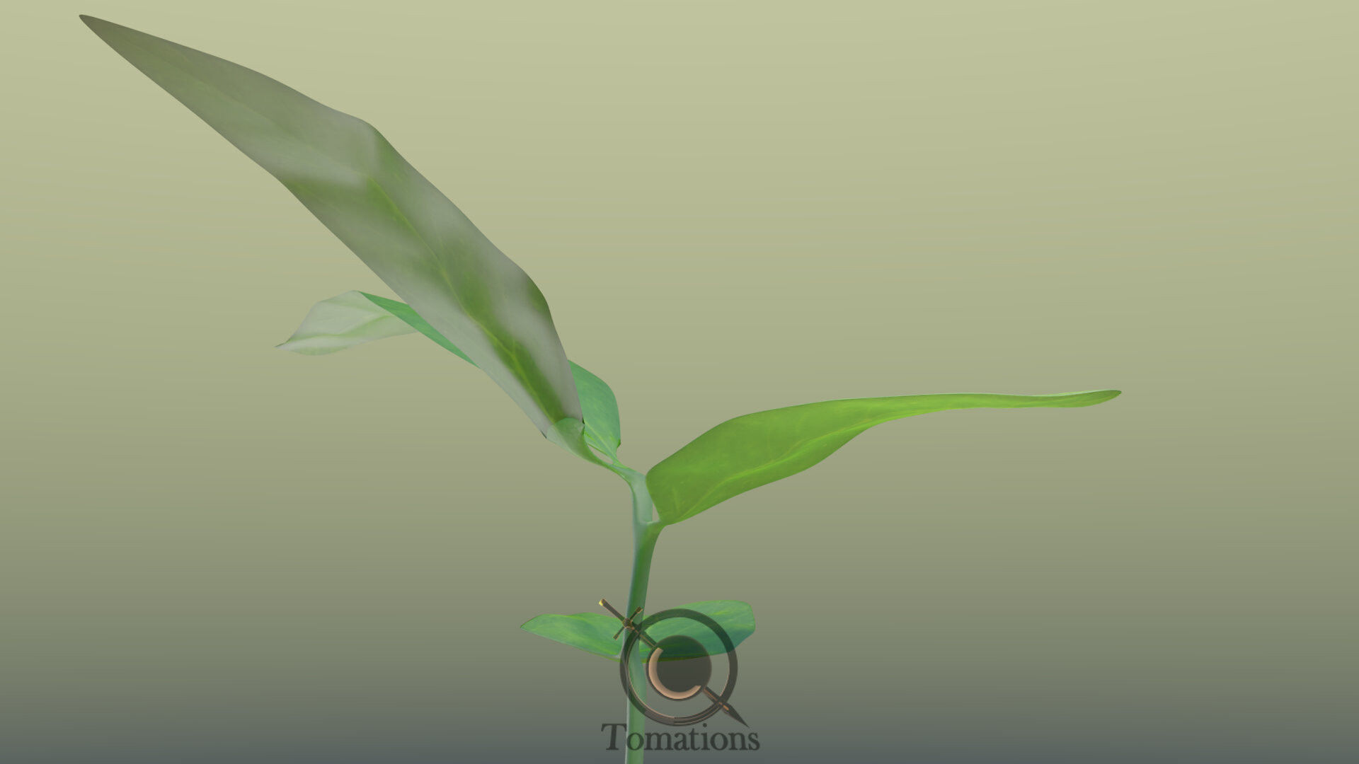 Sprout plant in pot 3D model_32